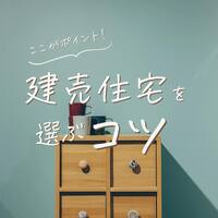 画像243
