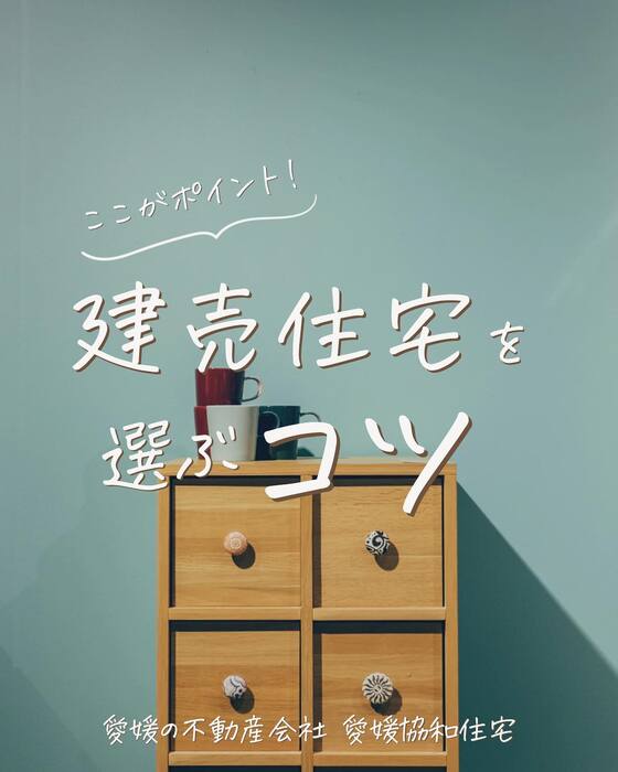 画像243