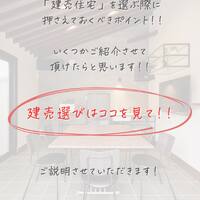 画像244