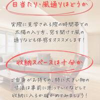 画像246