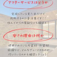画像247