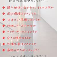 画像249